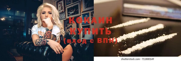 прущие грибы Белокуриха