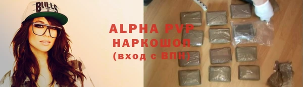 прущие грибы Белокуриха