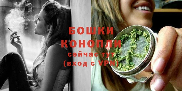 прущие грибы Белокуриха