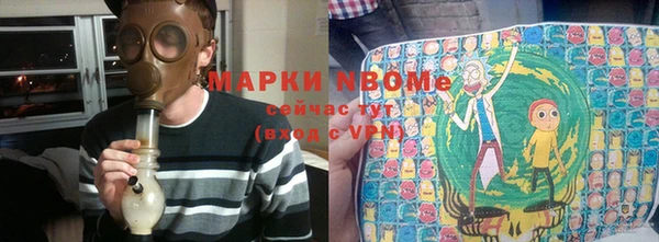 прущие грибы Белокуриха